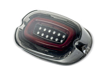 Eagle Lights Layback LED Tail Light Brake & Turn Signal for Harley Softail Sportster