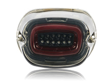 Eagle Lights Layback LED Tail Light Brake & Turn Signal for Harley Softail Sportster