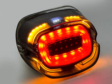 Eagle Lights Layback LED Tail Light Brake & Turn Signal for Harley Softail Sportster