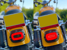 Eagle Lights Layback LED Tail Light Brake & Turn Signal for Harley Softail Sportster