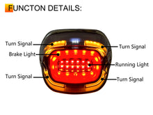 Eagle Lights Layback LED Tail Light Brake & Turn Signal for Harley Softail Sportster
