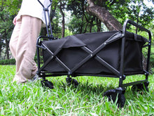 Utility Wagon Cart Trolley Handcart Foldable Black for Beach & Camping & Picnic cp11